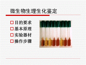 微生物生理生化鉴定.ppt