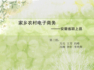 家乡农村电子商务.ppt