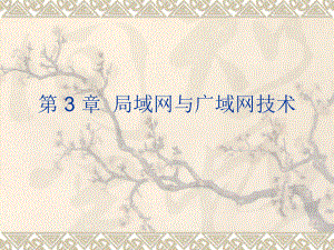局域网和广域网技术.ppt