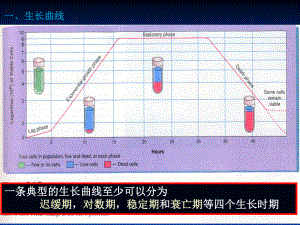 微生物的生长规律.ppt