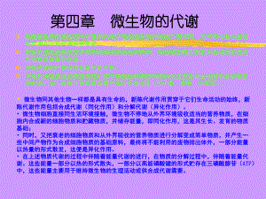 微生物的代谢.ppt
