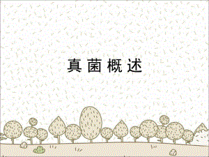 微生物真菌.ppt