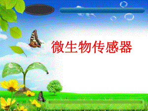 微生物传感器.ppt