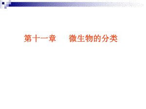 微生物的分类.ppt