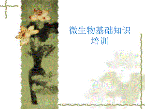 微生物基础知识.ppt
