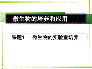 微生物的实验室培养.ppt