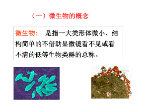 微生物绪论.ppt