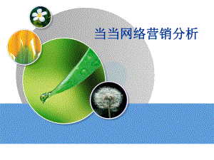 当当网络营销分析.ppt