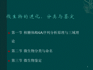 微生物的分类与鉴定.ppt