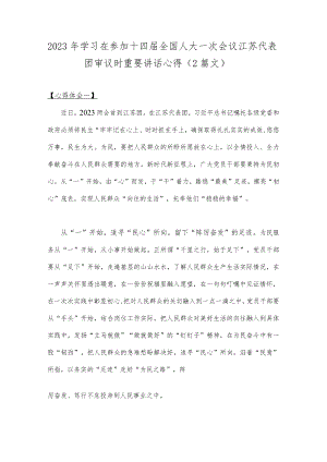 2023年学习在参加十四届全国人大一次会议江苏代表团审议时重要讲话心得（2篇文）.docx