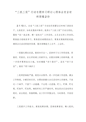 “三抓三促”行动专题学习研讨心得体会发言材料简稿2份.docx