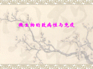 微生物致病性与免疫性.ppt