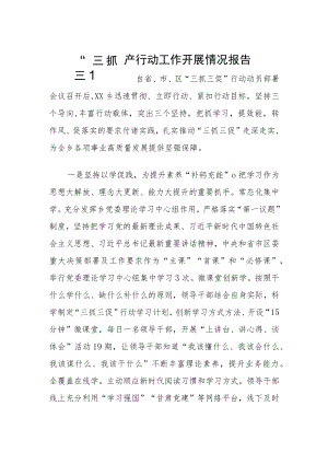 “三抓三促”行动工作开展情况报告.docx