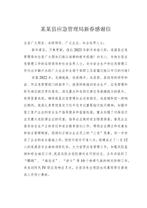 某某县应急管理局新春感谢信.docx