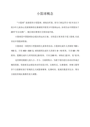 小篮球概念.docx