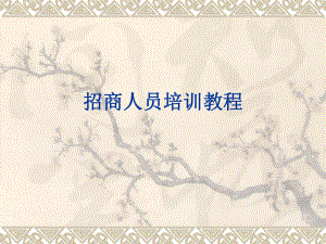 招商人员培训教程.ppt