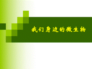 我们身边的微生物.ppt