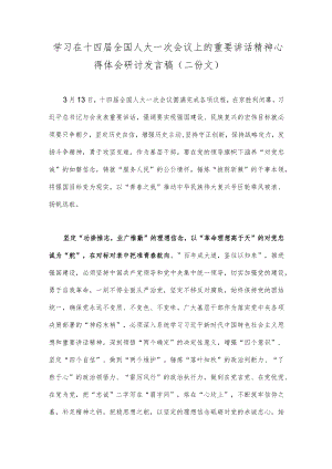 学习在十四届全国人大一次会议上的重要讲话精神心得体会研讨发言稿（二份文）.docx