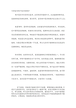 冬季室内观叶花卉的养护.docx