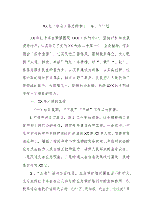 XX红十字会工作总结和下一年工作计划.docx