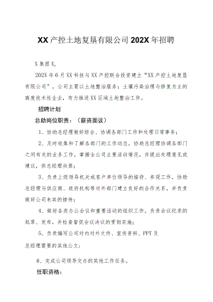 XX产控土地复垦有限公司202X年招聘.docx
