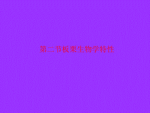 板栗生物学特性.ppt
