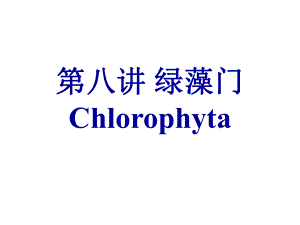 水生生物学绿藻门.ppt