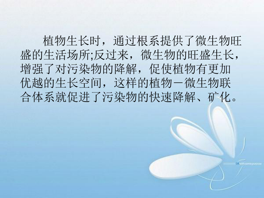 植物—微生物联合修复.ppt_第3页