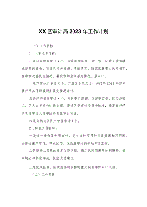 XX区审计局2023年工作计划.docx