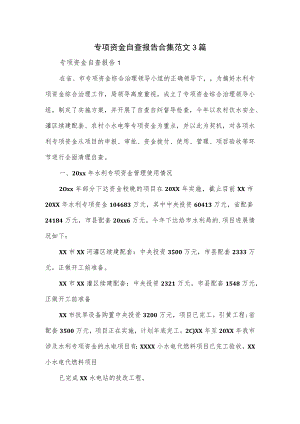 专项资金自查报告合集范文3篇.docx