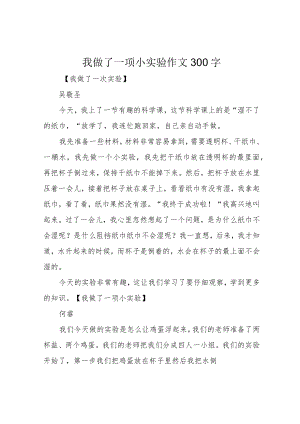 我做了一项小实验作文300字.docx