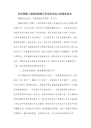 在市委第二巡察组巡察工作动员会议上的表态发言.docx
