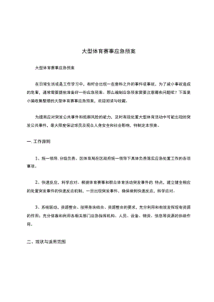 大型体育赛事应急预案.docx