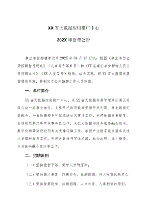 XX省大数据应用推广中心202X年招聘公告.docx