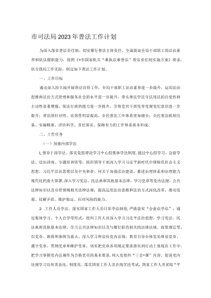 市司法局2023年普法工作计划.docx