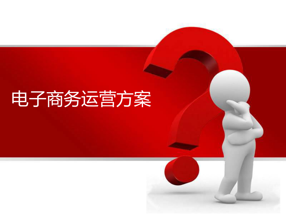 电子商务运营方案.ppt_第1页