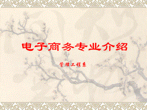 电子商务专业介绍.ppt