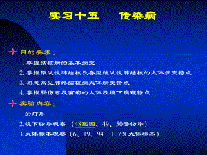 病理实验：传染病.ppt