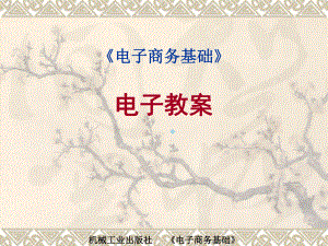 电子商务基础电子教案.ppt