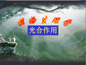 植物生理学光合作用.ppt