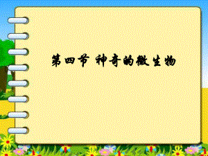 神奇的微生物课件.ppt