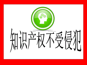 知识产权不受侵犯.ppt