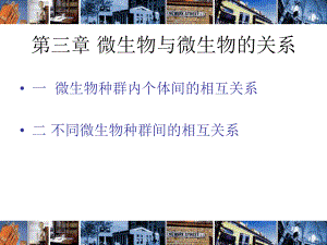 第三章微生物与微生物的关系.ppt