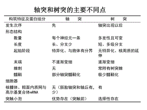 神经生物学总结.ppt