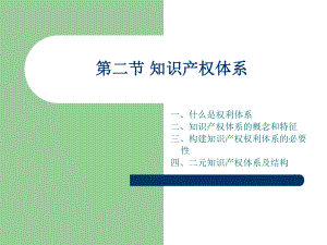 知识产权体系.ppt
