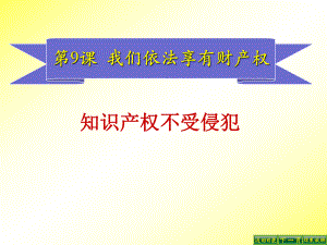 知识产权不受侵犯.ppt