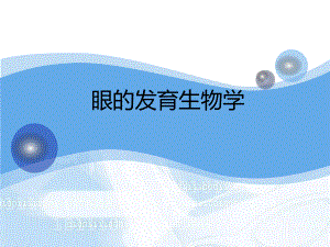 眼的发育生物学.ppt