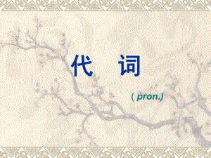 英语代词总结.ppt