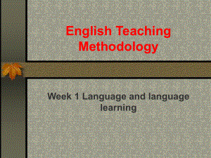 英语教学法教案.ppt