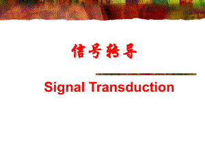 细胞生物学信号传导.ppt